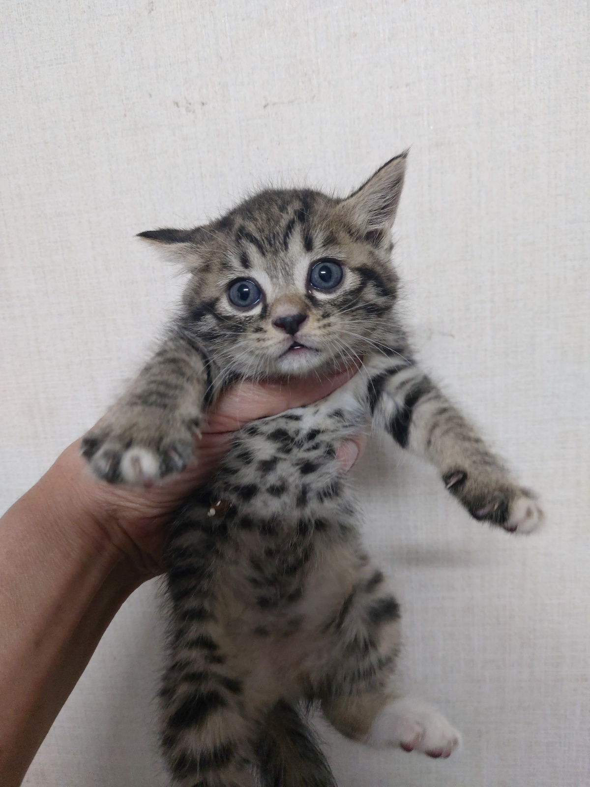 우리동물병원_428356202301709