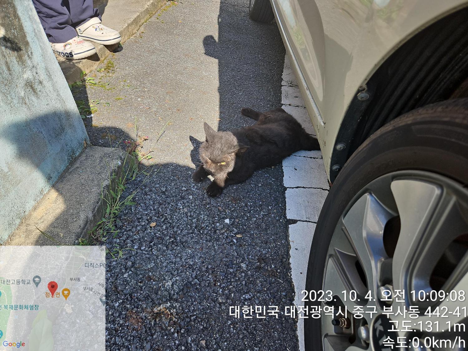 종료(자연사) 한국…
