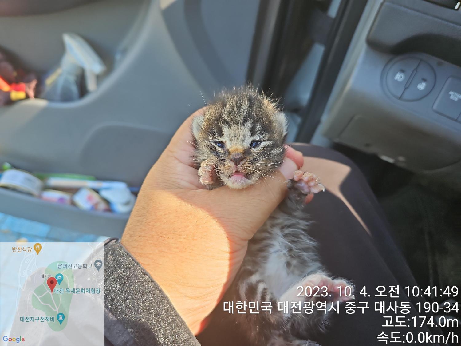 종료(자연사) 한국…