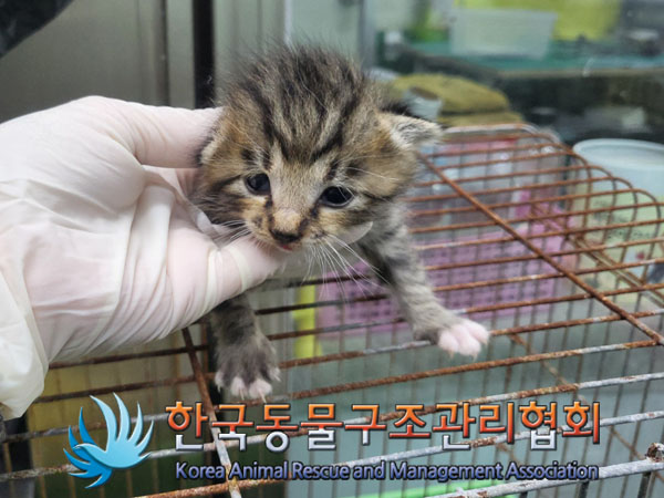 종료(자연사) 한국…