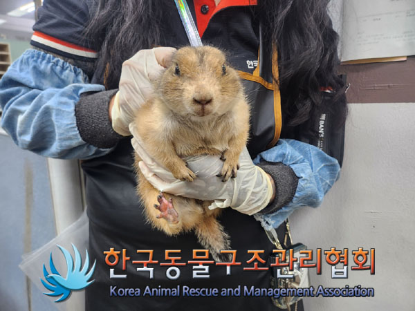 한국동물구조관리협회_441559202300970