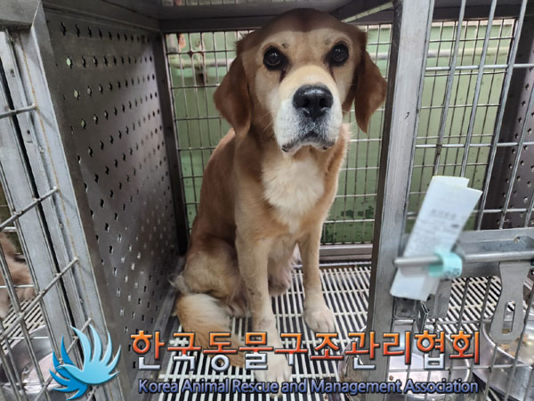 한국동물구조관리협회_441409202301565