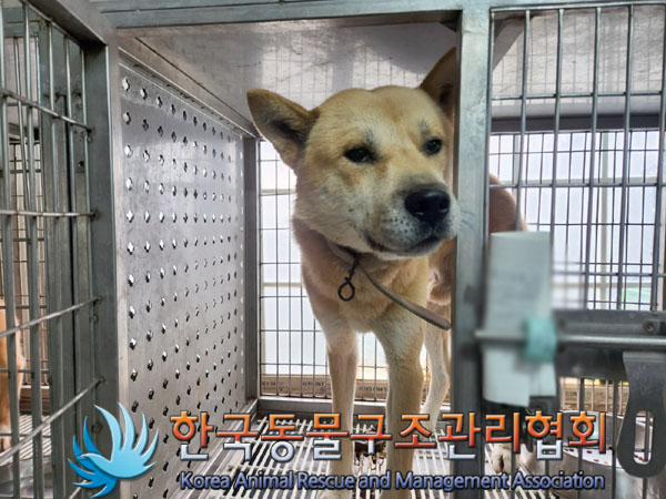 종료(안락사) 믹스…