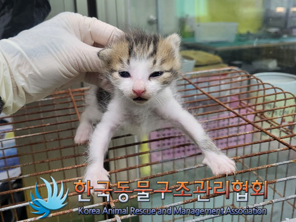 종료(자연사) 한국…