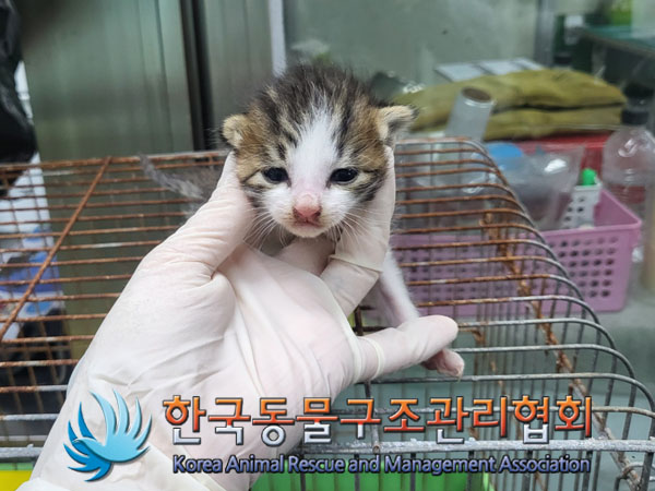 한국동물구조관리협회_441409202301568