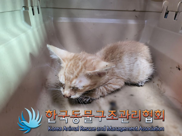 한국동물구조관리협회_411307202300396