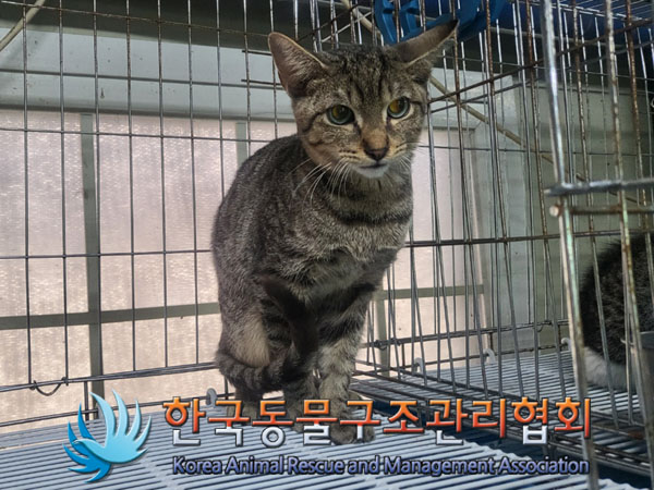 종료(자연사) 한국…