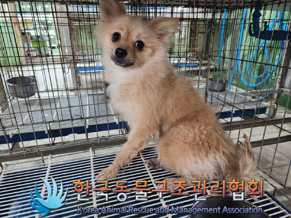 한국동물구조관리협회_441559202300969