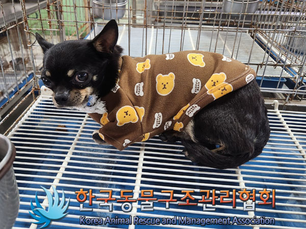 한국동물구조관리협회_441406202301448