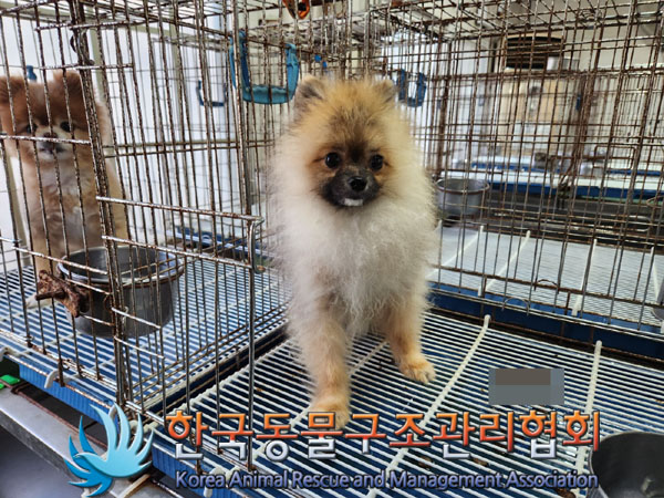한국동물구조관리협회_411315202300614