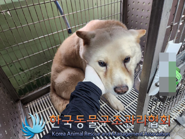 한국동물구조관리협회_441406202301456