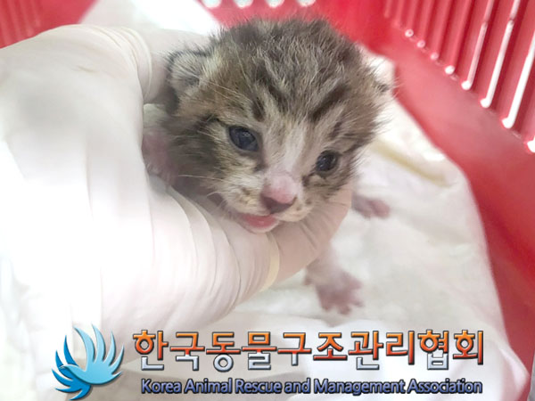 종료(자연사) 한국…