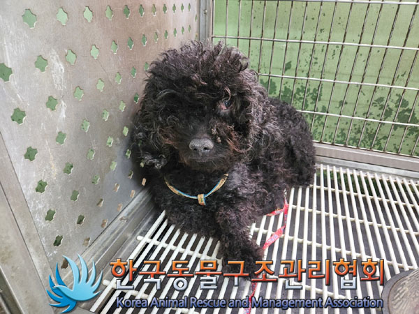 한국동물구조관리협회_411304202300643