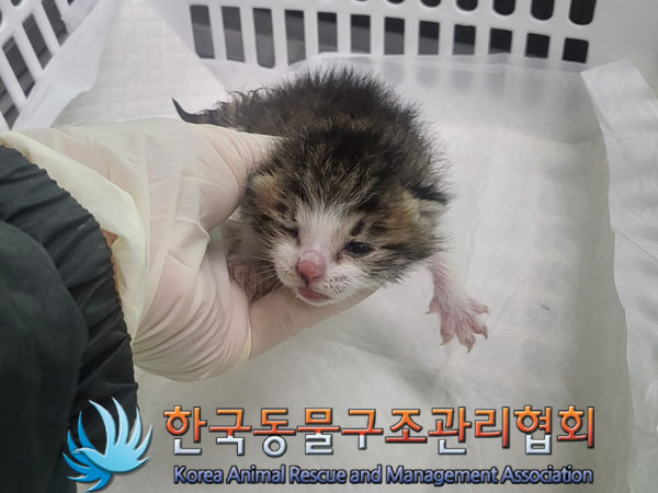 한국동물구조관리협회_441406202301459
