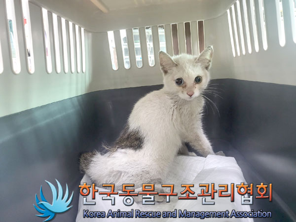 한국동물구조관리협회_441406202301457