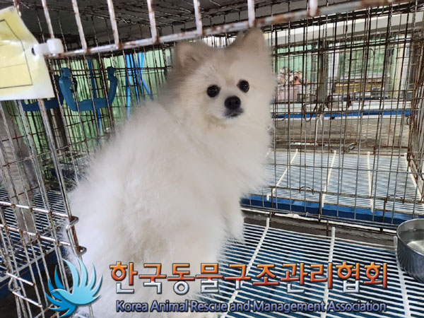 한국동물구조관리협회_411316202300701