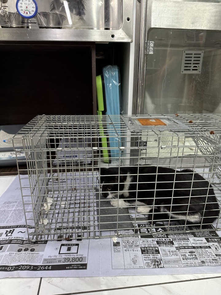 종료(방사) 한국 …
