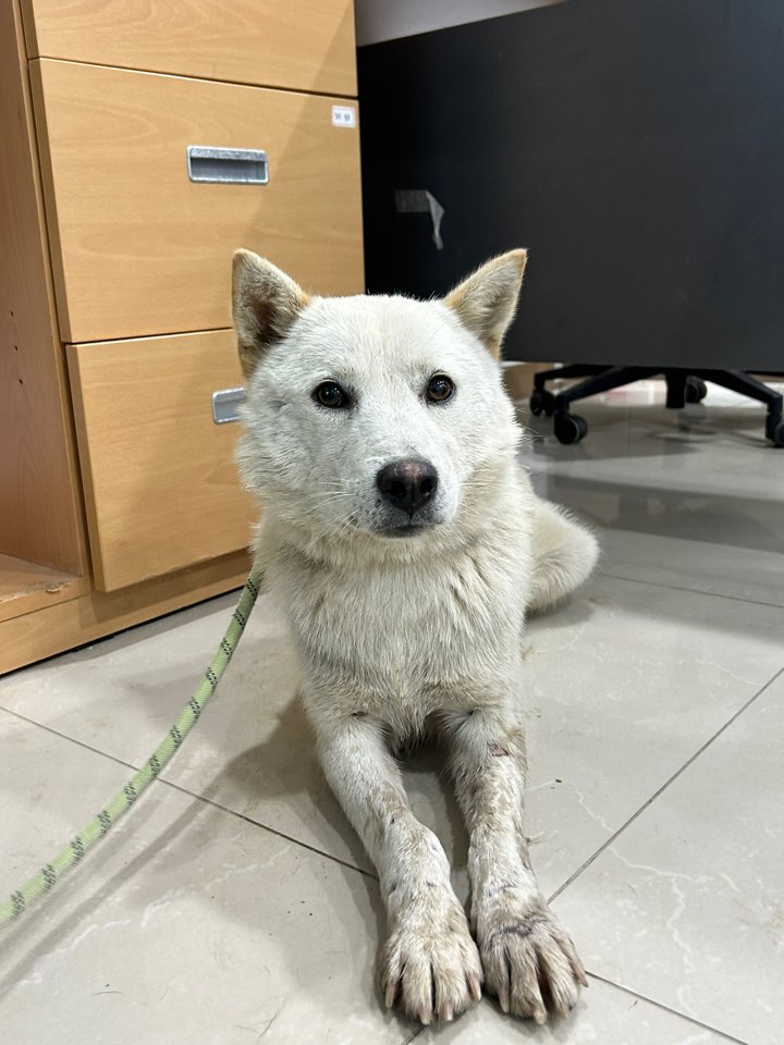 반려동물보호센터_443571202302628