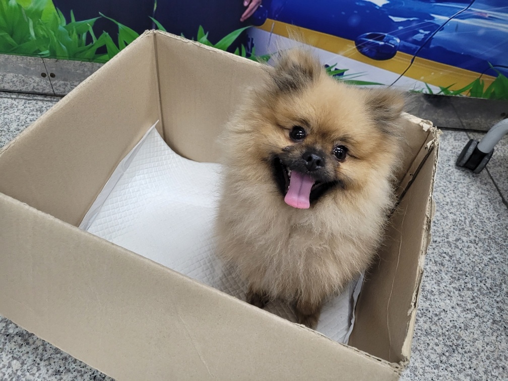 (사)영일동물플러스_447502202301172