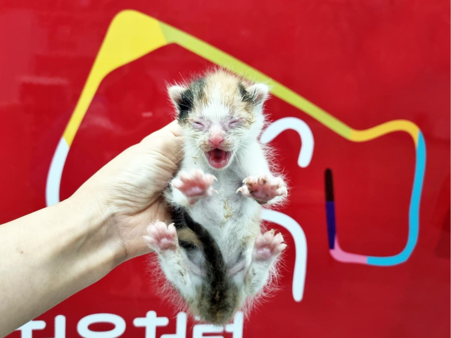 (사)영일동물플러스_447502202301173