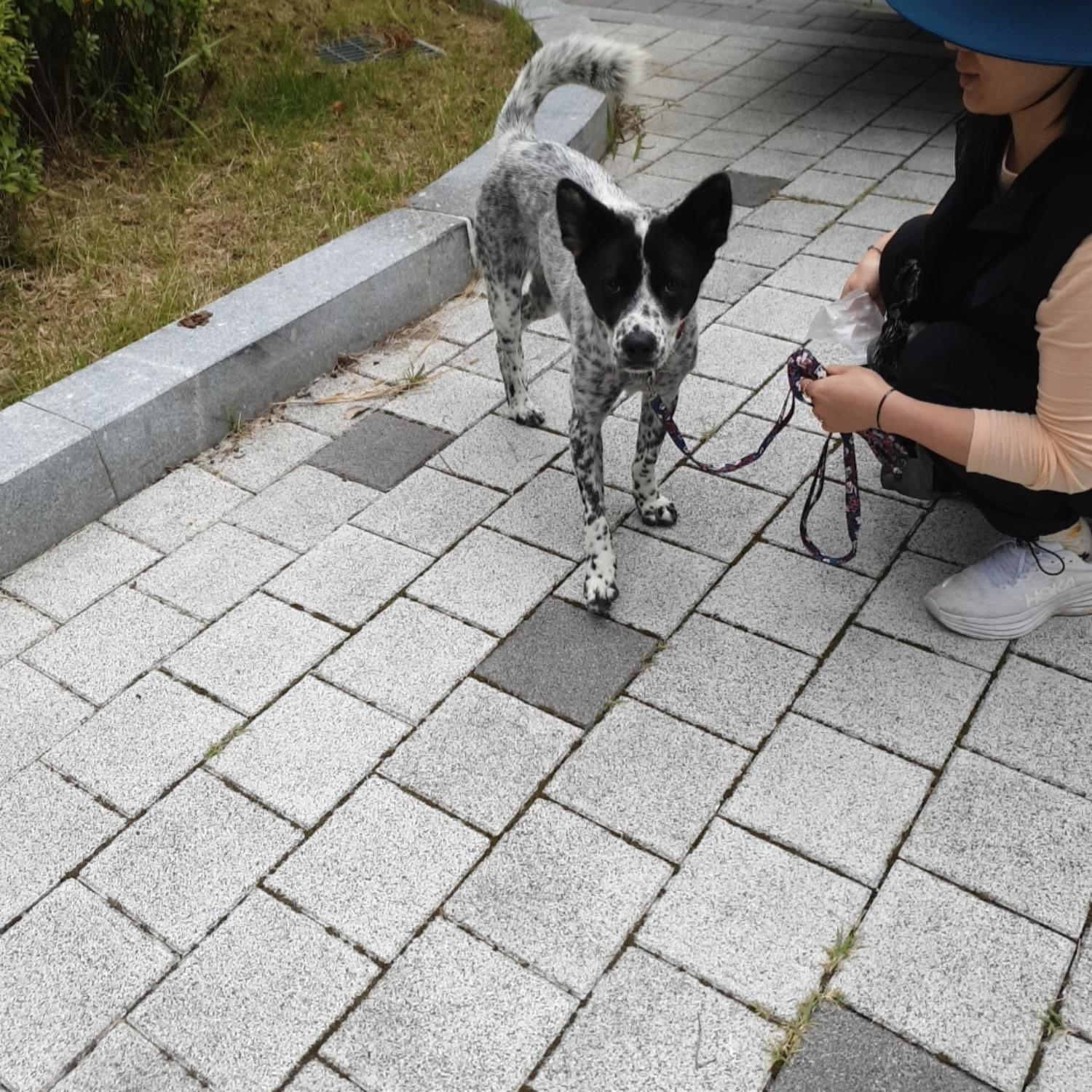 나주유기동물보호센터_446483202301421