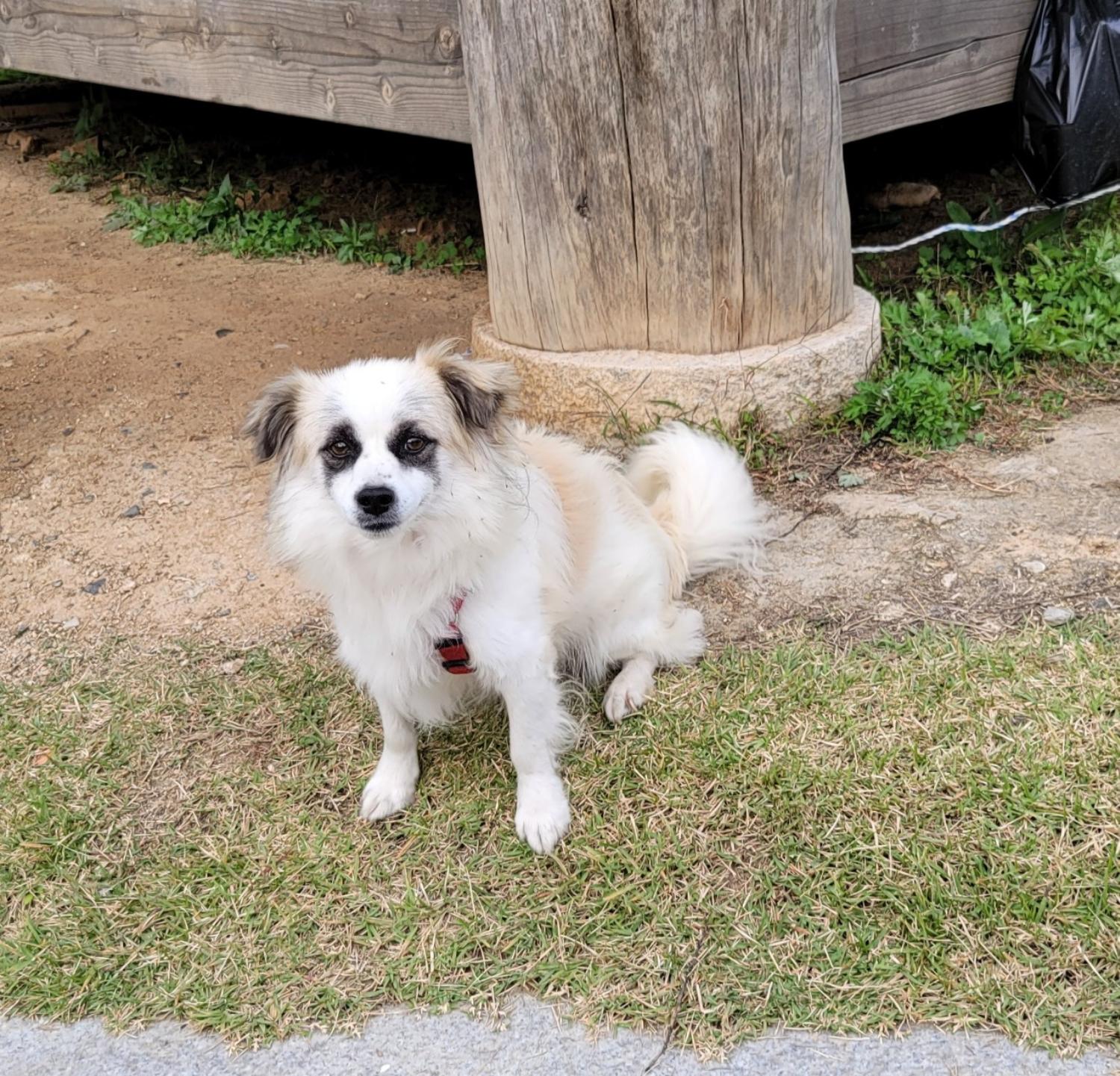 종합축산_447512202300673