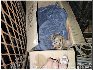 대전동물보호센터_430366202300559