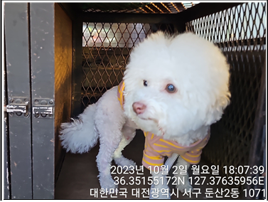 대전동물보호센터_430366202300555
