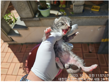 대전동물보호센터_430366202300550
