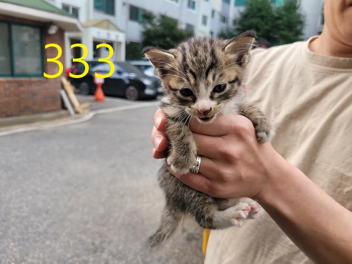 신영재동물병원_428355202300532