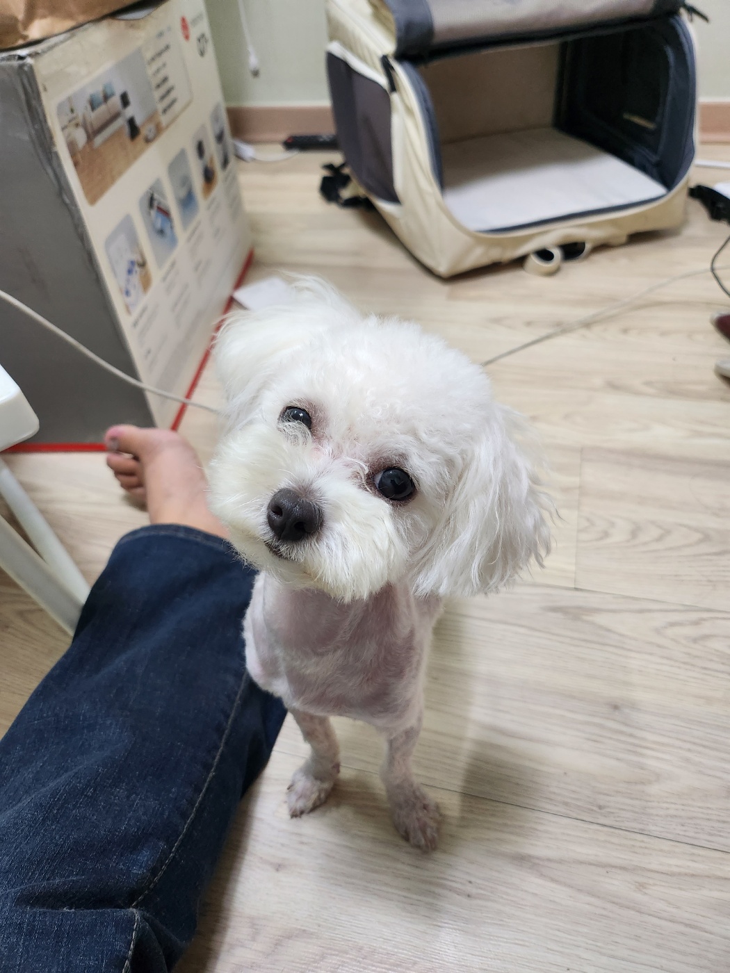 한국동물구조관리협회_441406202301472