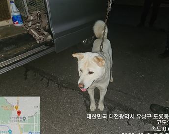 대전동물보호센터_430367202300585