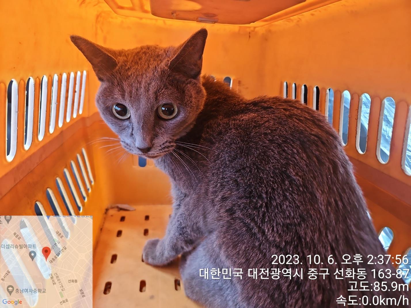 종료(자연사) 러시…