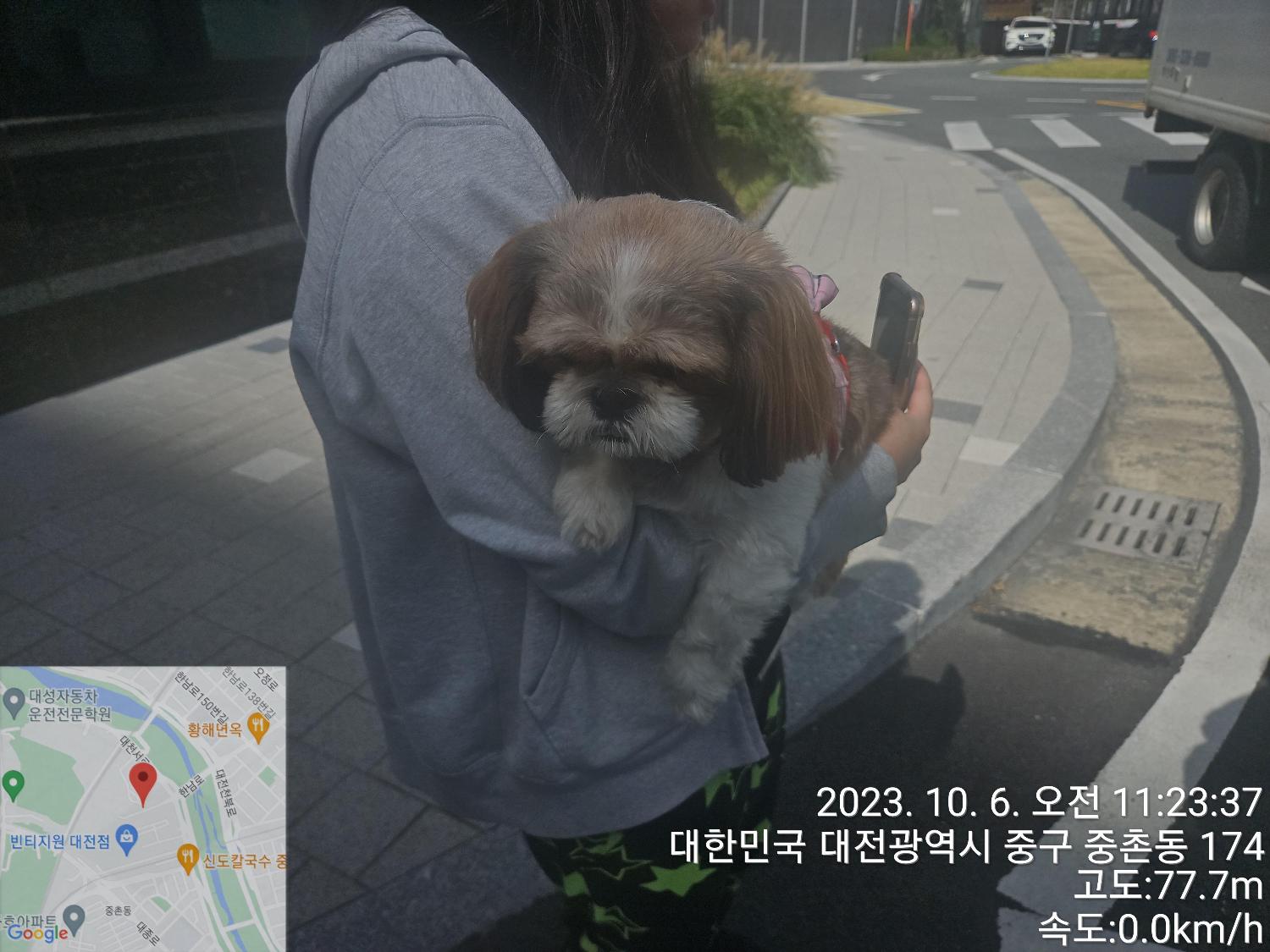 종료(반환) 시츄의…