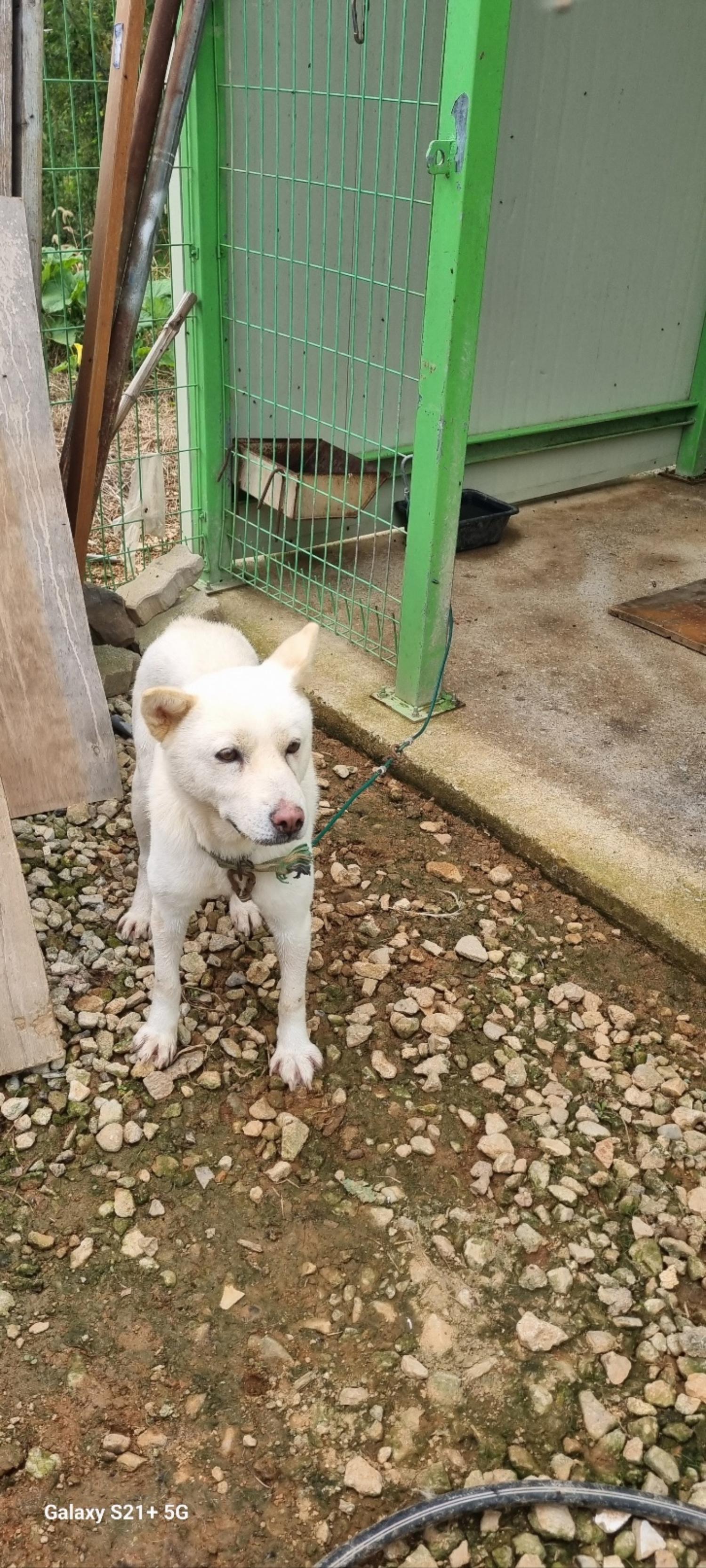 전북말산업복합센터_445471202300631