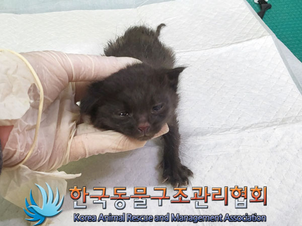 종료(자연사) 한국…