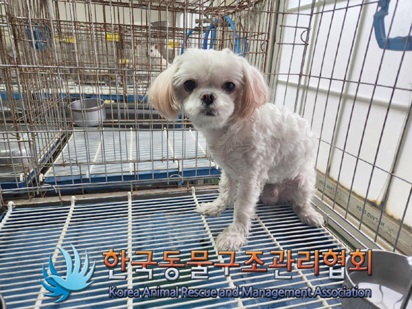 한국동물구조관리협회_441398202300384