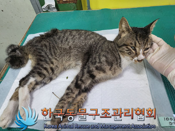 종료(자연사) 한국…