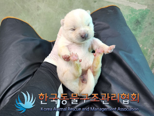종료(자연사) 믹스…