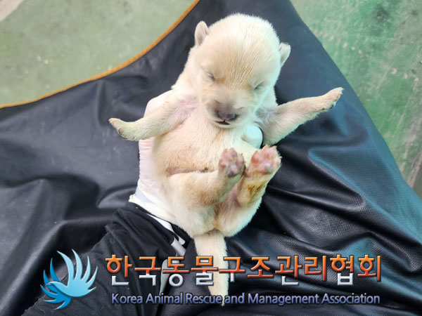 한국동물구조관리협회_441409202301578