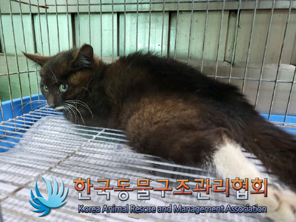 종료(자연사) 한국…