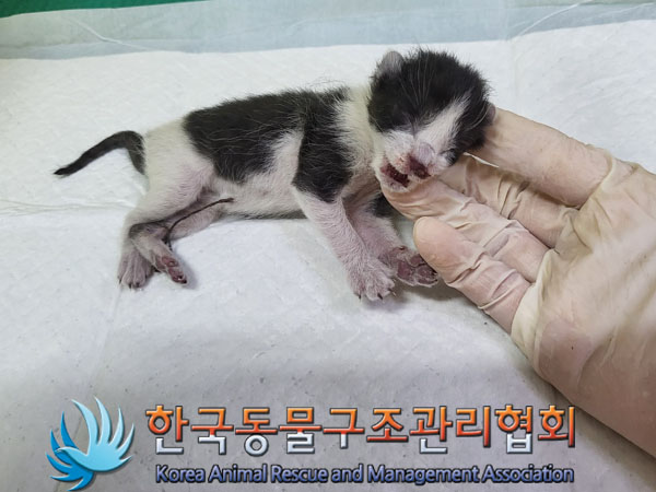 종료(자연사) 한국…
