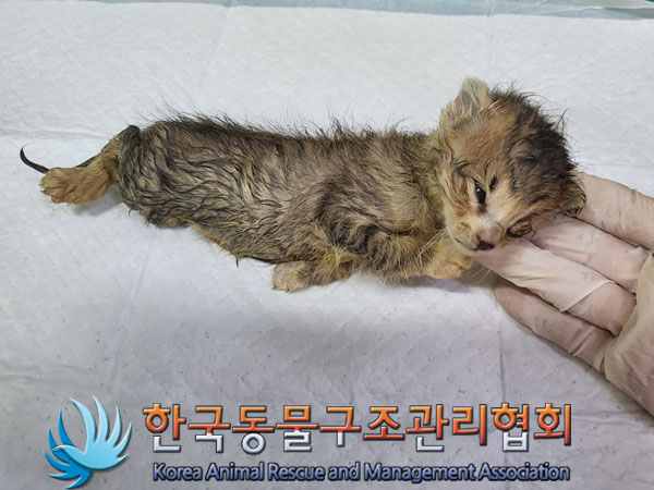 한국동물구조관리협회_441409202301574