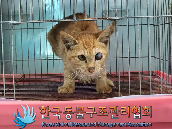 한국동물구조관리협회_441409202301575