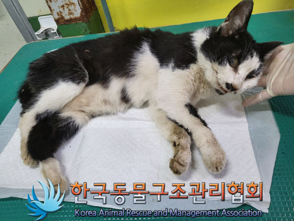 종료(자연사) 한국…