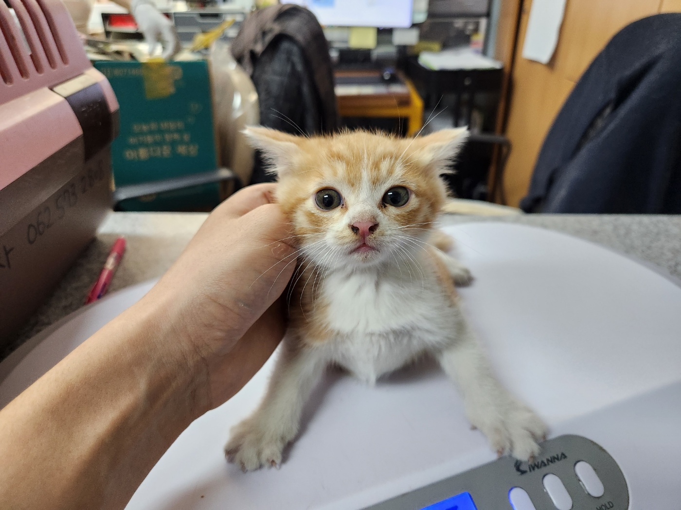 광주 동물보호소_429362202300899