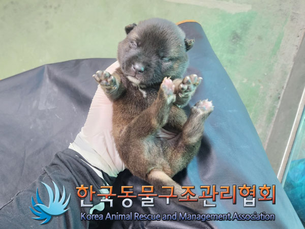 한국동물구조관리협회_441409202301577