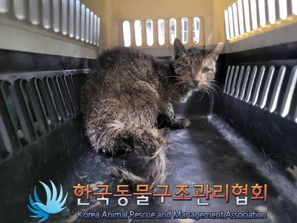 종료(자연사) 한국…