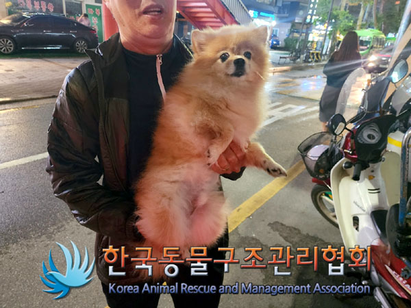 한국동물구조관리협회_411303202300528