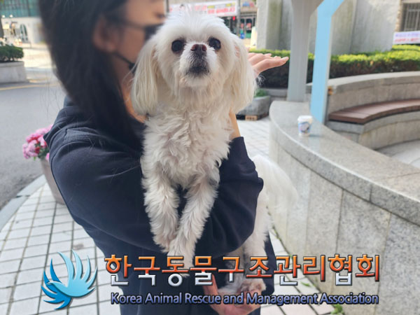 한국동물구조관리협회_411315202300626